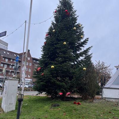 Bild vergrößern: Weihnachtsbaum 20222